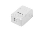 EMPTY SURFACE-MOUNT BOX FOR KEYSTONE 1-PORT LANBERG