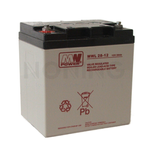 Akumulator AGM  12V 28Ah (166*125*175mm)