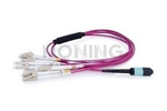 MultiPatchcord OPTO, 12x50/125 (OM4) Type B, LC/UPC-MPO(F), 1M