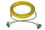 MultiPatchcord OPTO, 24x9/125, LC/UPC-LC/UPC, 10M