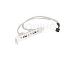 2 X USB 2.0 SLOT BRACKET 30CM CABLE LANBERG BR-0005-S