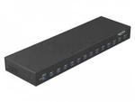 USB 3.1 HUB DELOCK 13-PORTS INDUSTRIAL 19" BLACK
