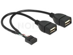 USB PIN HEADER(M) 10 PIN->2X USB-A(F) 2.0 CABLE 20CM BLACK DELOCK