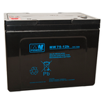 Akumulator AGM 12V 75Ah  (260*170*205*mm)