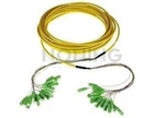 MultiPatchcord OPTO, 24x9/125, SC/APC-SC/APC, 10M