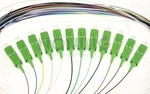 12x Pigtail OPTO SC/APC (8°), SM, 2M (12 colours 0.9/0.25mm) (Box)