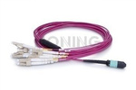 MultiPatchcord OPTO, 12x50/125 (OM4) Type B, LC/UPC-MPO(F), 3M