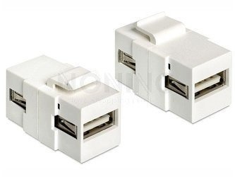 KEYSTONE MODULE USB2.0 A FEMALE > USB2.0 A FEMALE DELOCK