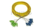 MultiPatchcord OPTO, 12x9/125, SC/APC-SC/UPC, 10M