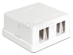 KEYSTONE SURFACE MOUNTED BOX 2 PORT DELOCK
